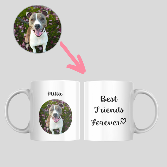 Best friends forever dog photo mug 