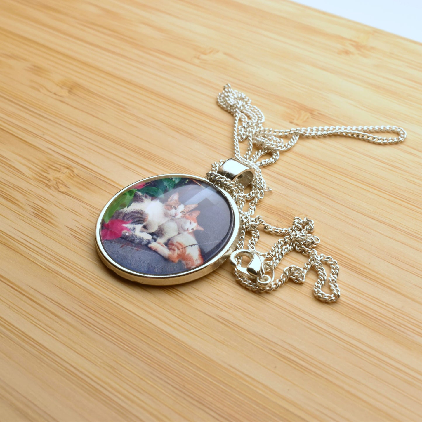 Two cats sleeping photo pendant on keyring 