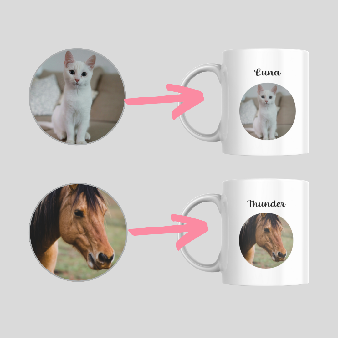 image showing cat and horse photo being made into photo mug